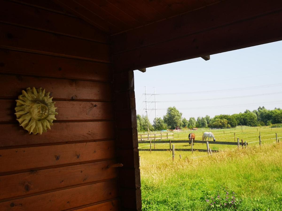 Ruime Romantische Blokhut Zwaanshoek Экстерьер фото
